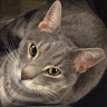 אקסל ארוג'ו's photo