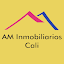 AM Inmobiliarios Cali (Owner)