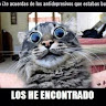 yared