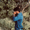 Elephant_7485374