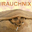 irauchnix idampf