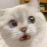 userThumbnail