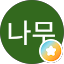 튤립나무