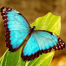 View Alicereeeeee's Profile