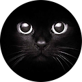 Avatar de Tynoutte.m
