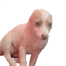 user_6eauisv6ag9q4n01 member profile picture