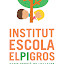 El Pi gros Escola (Owner)