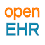 openEHR International (Owner)