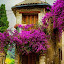 Ananthu S