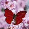 user-avatar
