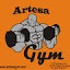 Artesa Gym