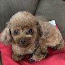 Profile picture of Jack