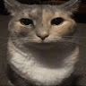 ProjectBaconzzzz member profile picture