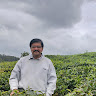 VenkataSubramanian Ramasamy
