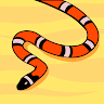 Rooter