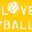 WeLoveVolleyball ZA (Owner)