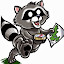 raccoon gaine (Owner)