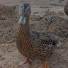 View vtive's Profile