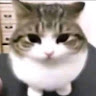 user_c259f482's avatar