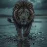 Fahad Fahad