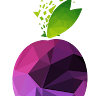 Prune