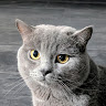 user_snk8v4bx0hldvc34 member profile picture