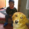 Created by