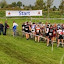 Adamse Cross Competitie (Owner)