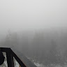 Олег
