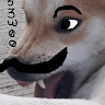 diggitoire's Avatar
