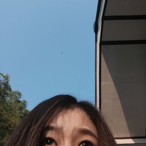 โรส