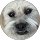 Adam profile picture