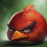 enziuk