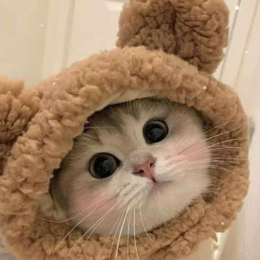 Даня 