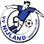 vv Nijland (Owner)