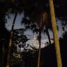 Kelvin Lam 3
