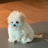 user_ait1csxq6umeqbat member profile picture