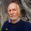 Dolf van den Berg (Owner)