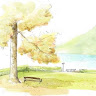 Created by