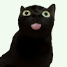 Streamer Avatar
