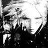 user_oe18xjcsqmlpd7au member profile picture