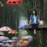 Created by