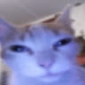 user_vmb22gptup00bnd5 member profile picture