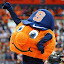 Go Orange (Owner)