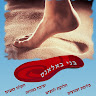 בני בר לוי