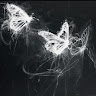 user-avatar