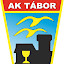 Aeroklub Tábor (Owner)