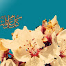 Created by