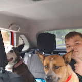 Uživatel: Aleksa Jastra