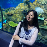 Пользователь: Pink Pink